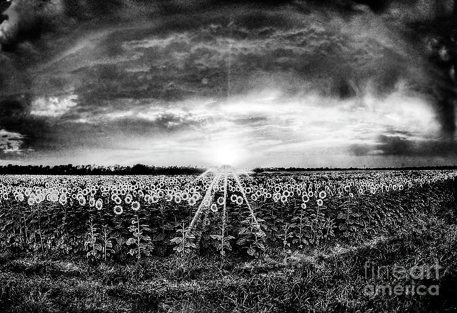 Kansas Sunset BW Photograph by Michael Ciskowski
