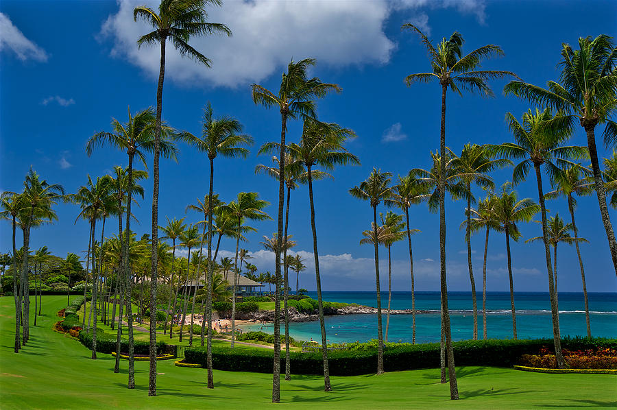 Kapalua Bay Maui Hawaii Photograph by Glen Thuncher - Fine Art America