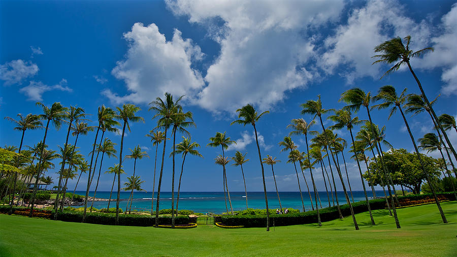 Kapalua Bay Maui Panorama Photograph by Glen Thuncher - Fine Art America