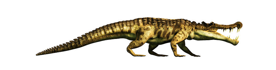 Kaprosuchus In Profile Digital Art