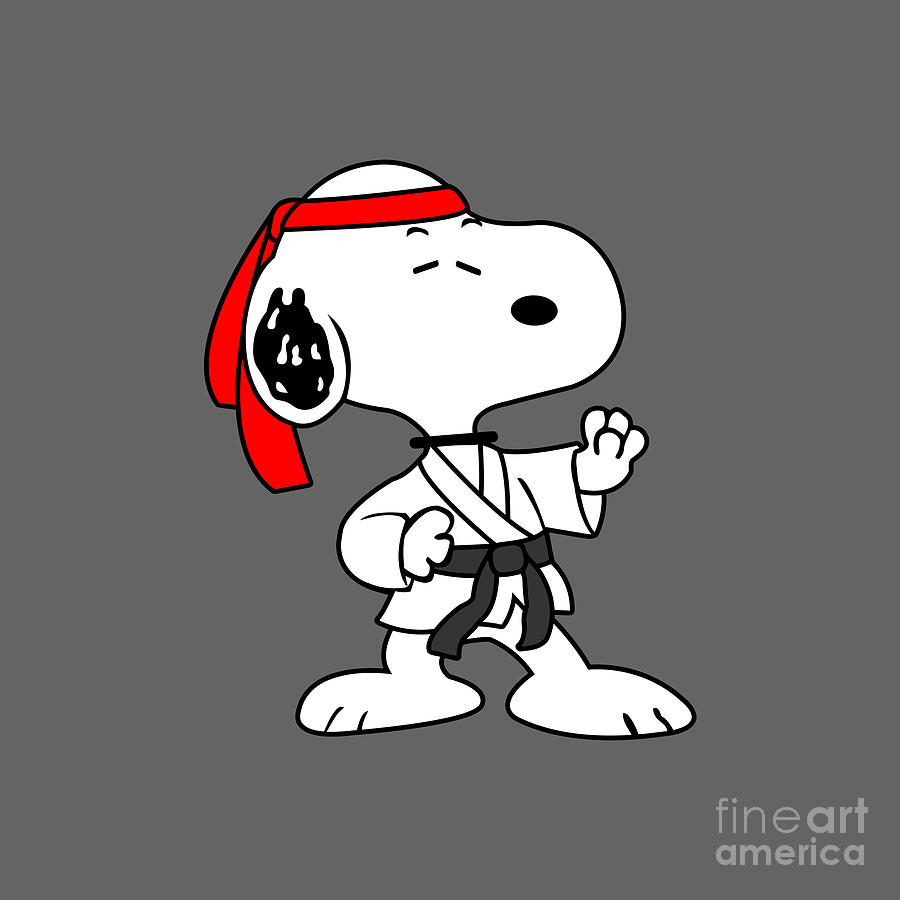 Karate Snoopy Drawing by Victor C Perkins | Pixels