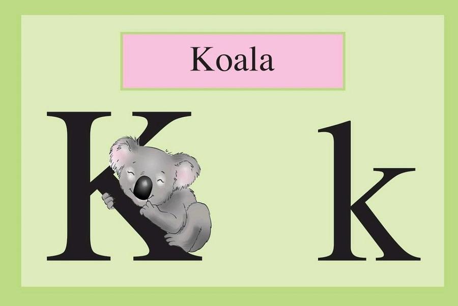 Kari Koala Digital Art by Bonnie Lee - Fine Art America