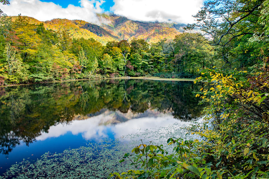 Karikomi-ike pond autumn scenery Photograph by I love Photo and Apple.