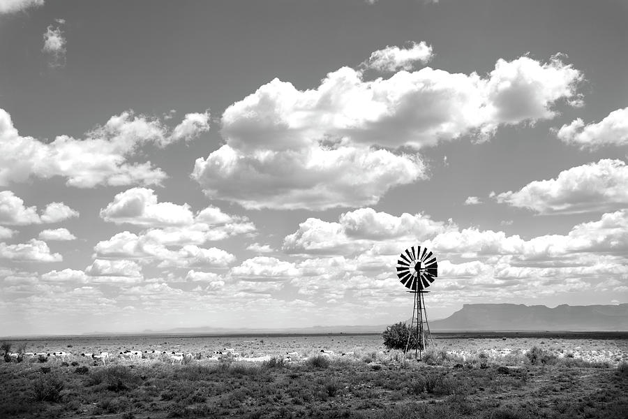 Karoo Dream Photograph by Mia Badenhorst