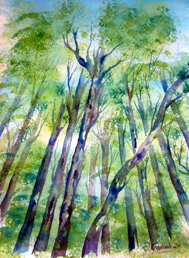 Karri Trees Forest Water Color Painting by Roberto Gagliardi
