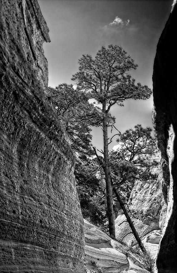 Kasha-Katuwe Tent Rocks National Monument 2 Photograph by Steven Ralser