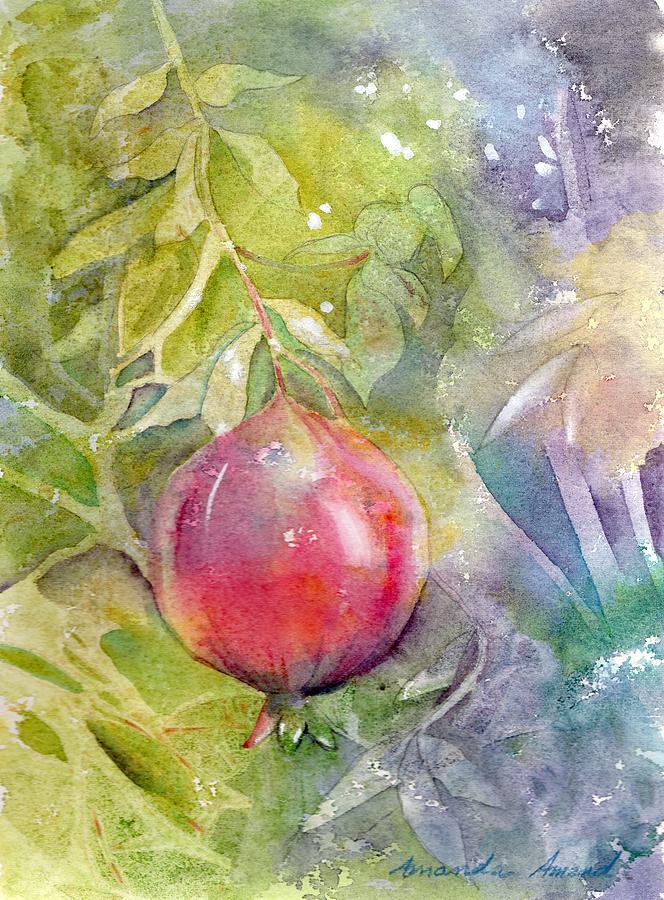 Kates Pomegranate  Painting by Amanda Amend