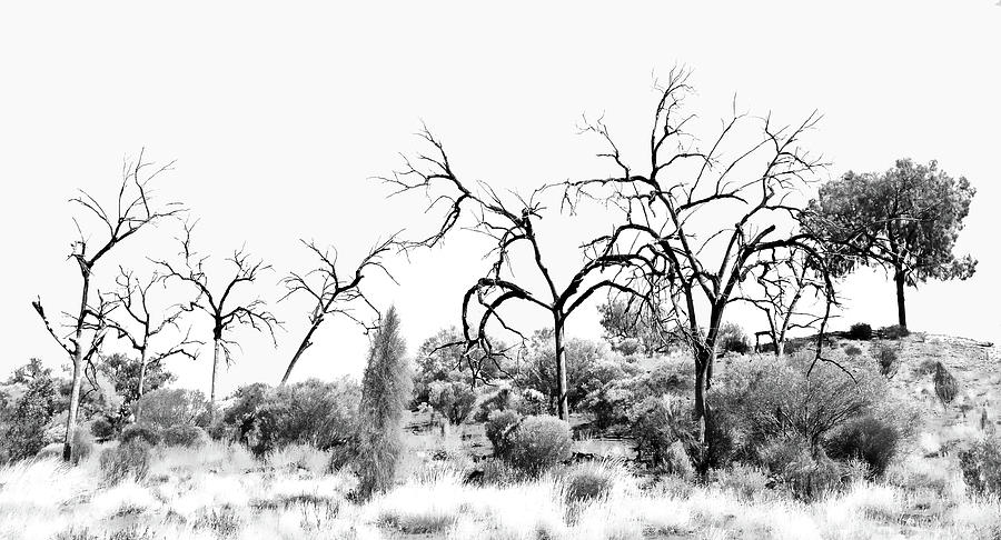 Kathleen Springs 2 - Northern Territory - BW Photograph by Lexa Harpell