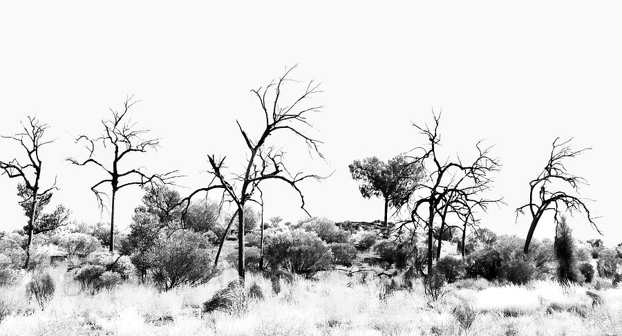 Kathleen Springs - Northern Territory - BW Photograph by Lexa Harpell