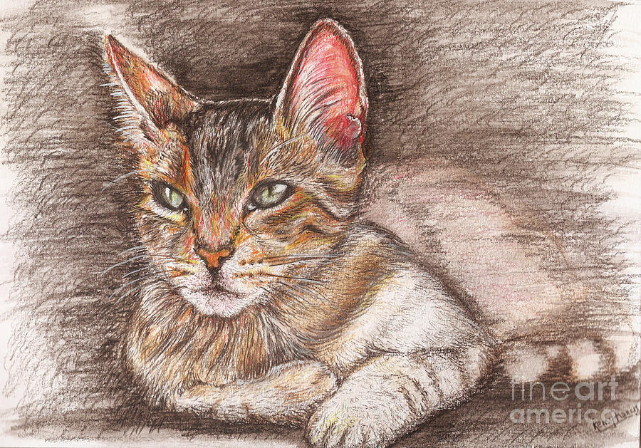 Kato the savannah Kitten Painting by Remy Francis