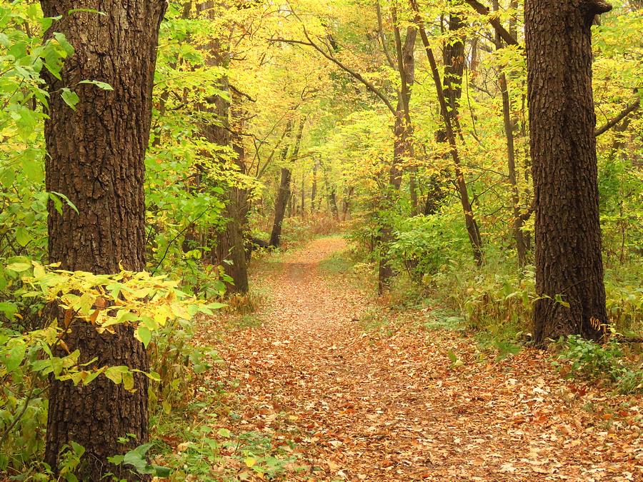 Katoski Greenbelt Trail Photograph By Lori Frisch - Pixels