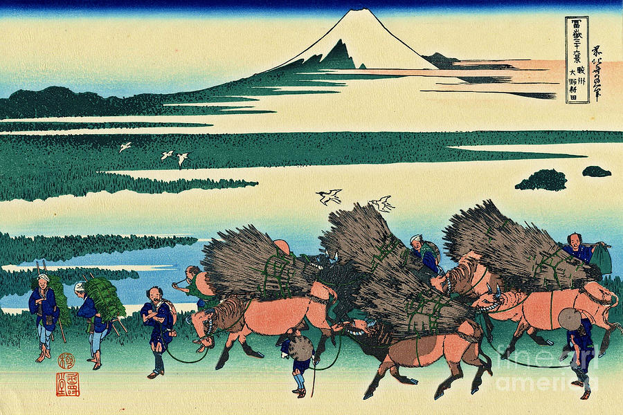 Katsushika Hokusai Mixed Media - Katsushika Hokusai Ono Shindon in the Suraga province by Katsushika Hokusai