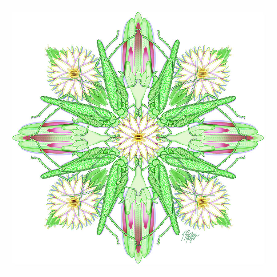 Grasshopper Digital Art -  Katydid Cactus Mandala by Tim Phelps