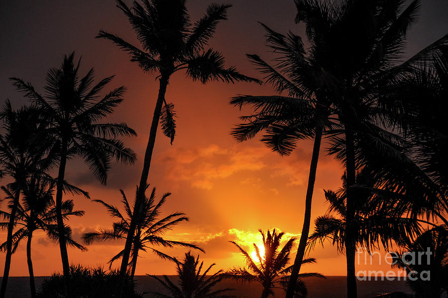 Kauai Fire Sunrise Photograph