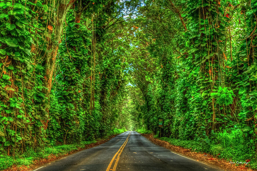 Kauai HI The Way 888 The Eucalyptus Tree Tunnel South Shore Landscape Art Photograph by Reid Callaway