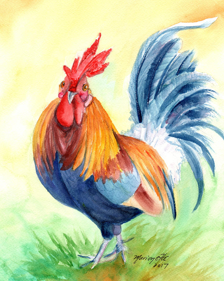 Kauai Island Rooster 4 Painting by Marionette Taboniar
