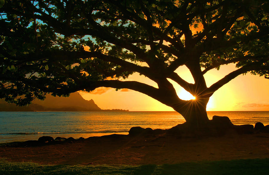 Kauai Sunstar Sunset Silhouette Photograph by Stephen Vecchiotti