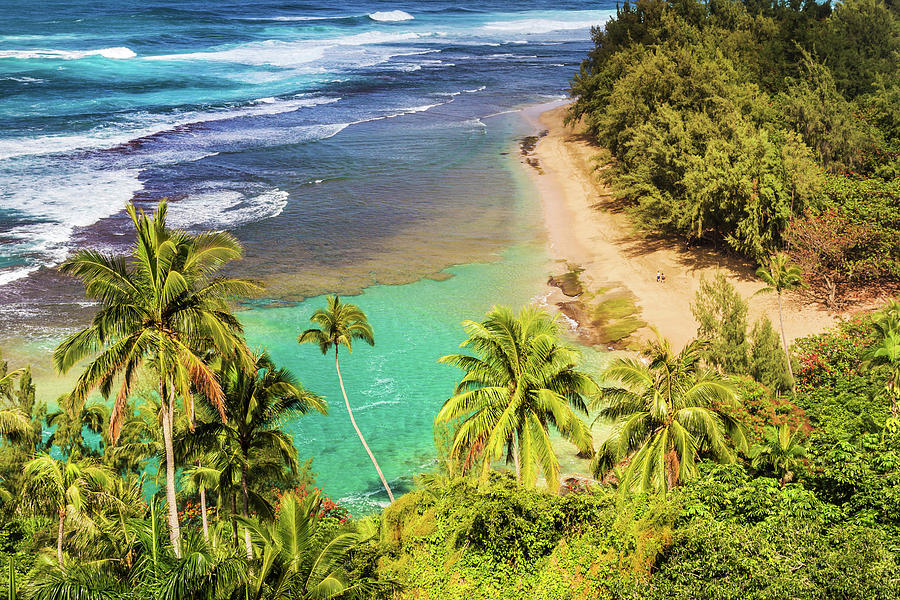 Kauai Tropical Paradise Photograph by Pierre Leclerc Photography