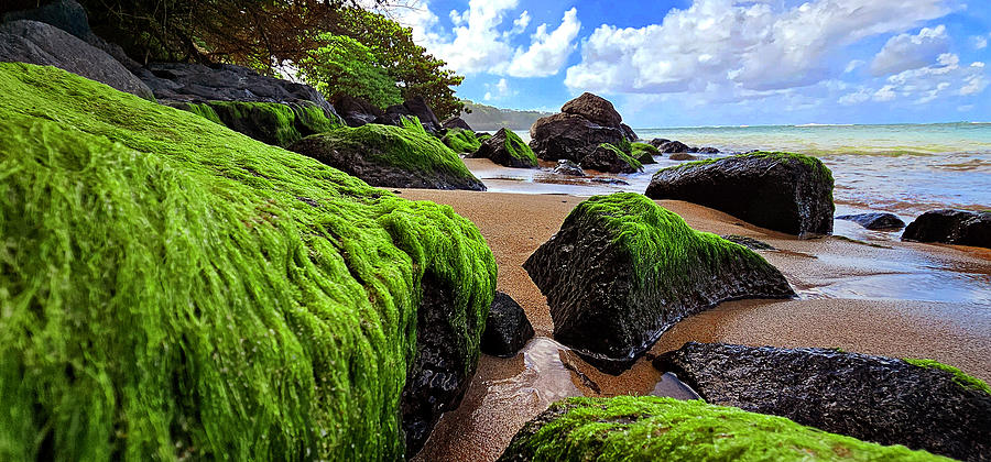 Kauia Beach Photograph by Eric Wiles