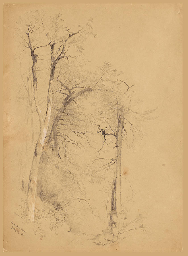 Jervis Mcentee Drawing - Kauterskill Clove by Jervis McEntee