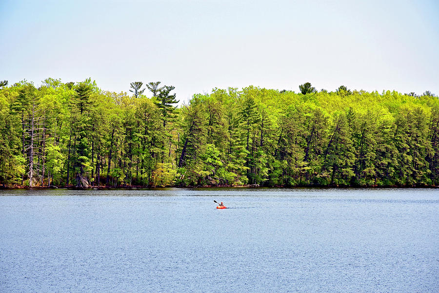 Kayak on the pond Photograph by Monika Salvan