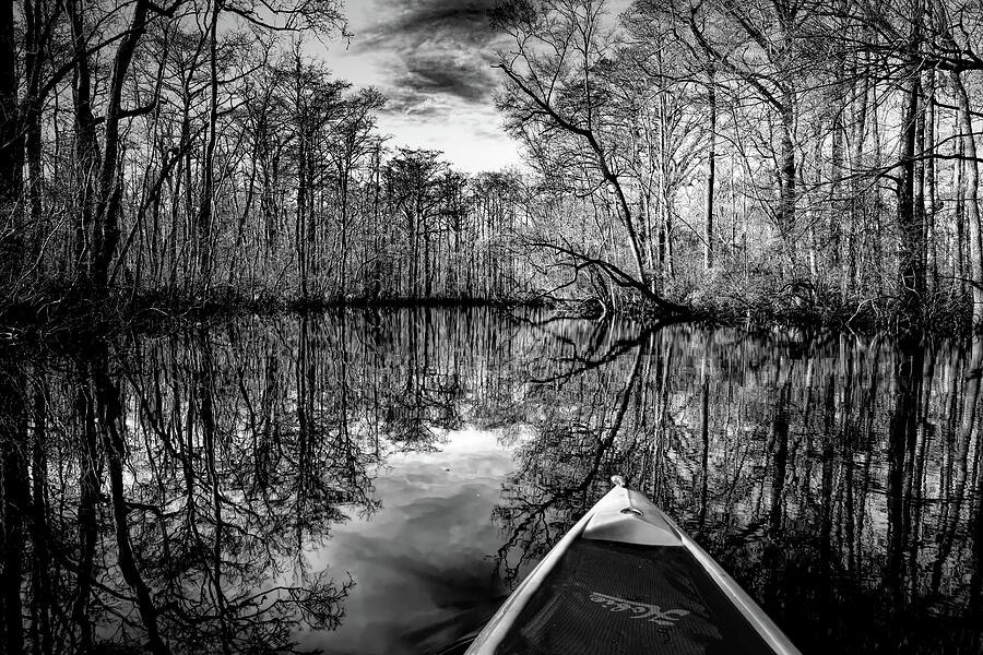 Santee River Photograph - Kayak Through the South Santee River by Norma Brandsberg