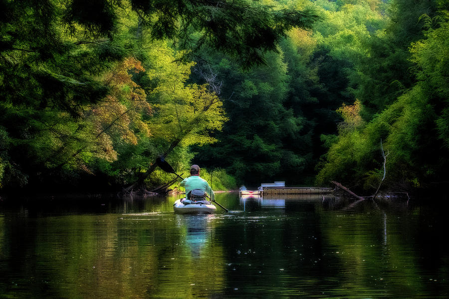 Kayaker rowing along lush stream Photograph by Dan Friend
