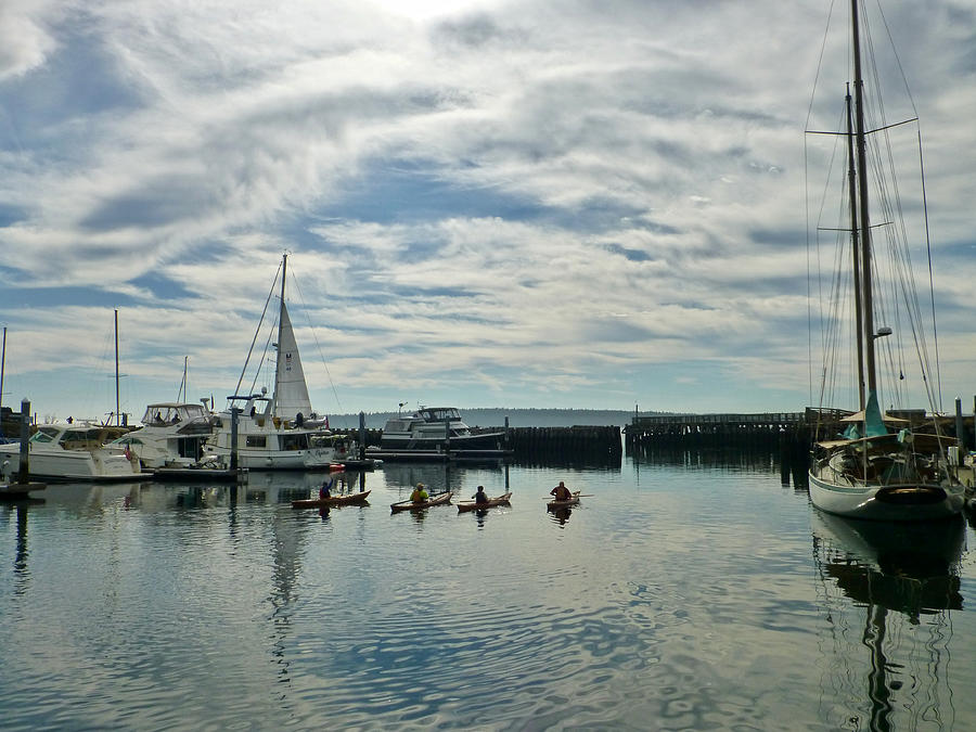 Kayakers Port Townsend Harbor Photograph by Amelia Racca