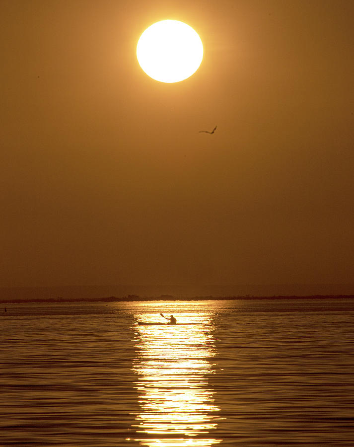 Kayaking Photograph - Kayaking in golden light. by Leigh Henningham Kayaking Photograph - Kayaking in golden light. by Leigh Henningham
