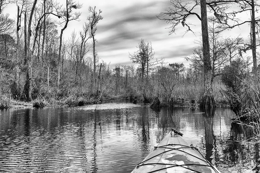 Kayaking Into the Swamp - Eastern North Carolina Photograph by Bob Decker