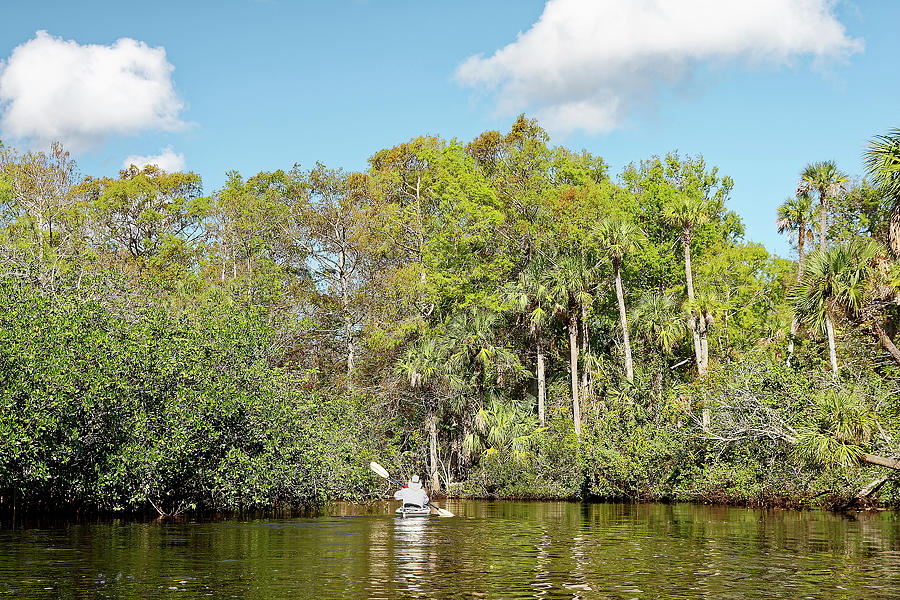 Kayaking Loxahatchee River Photograph by Sally Weigand - Fine Art America