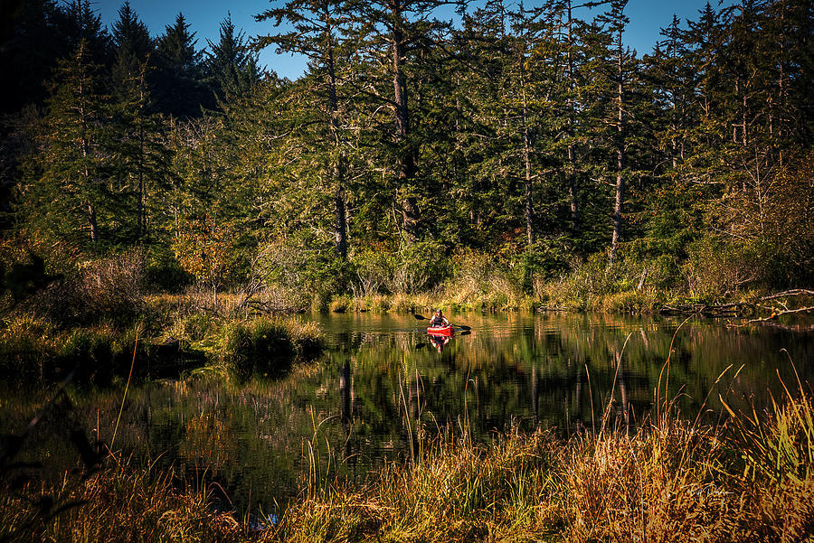Kayaking the Forest Photograph by Bill Posner
