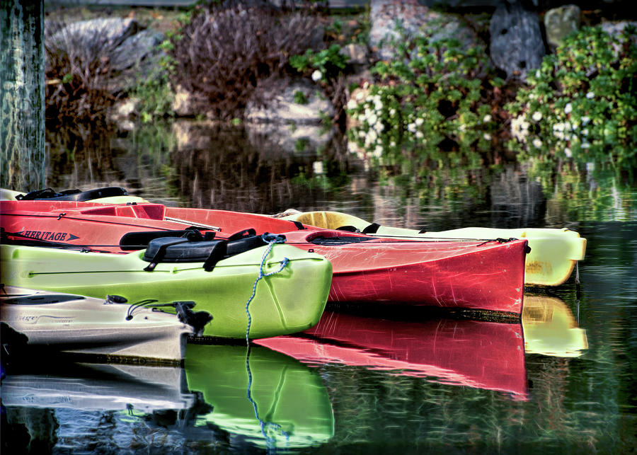 Kayaks Docked at Milton Harbor Photograph by Cordia Murphy