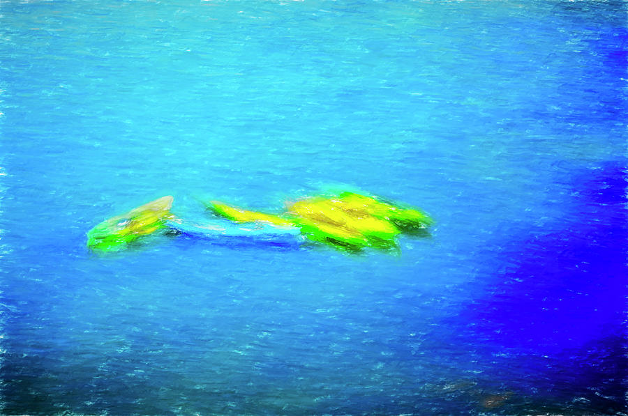 Kayaks In Blue Photograph by Joseph S Giacalone