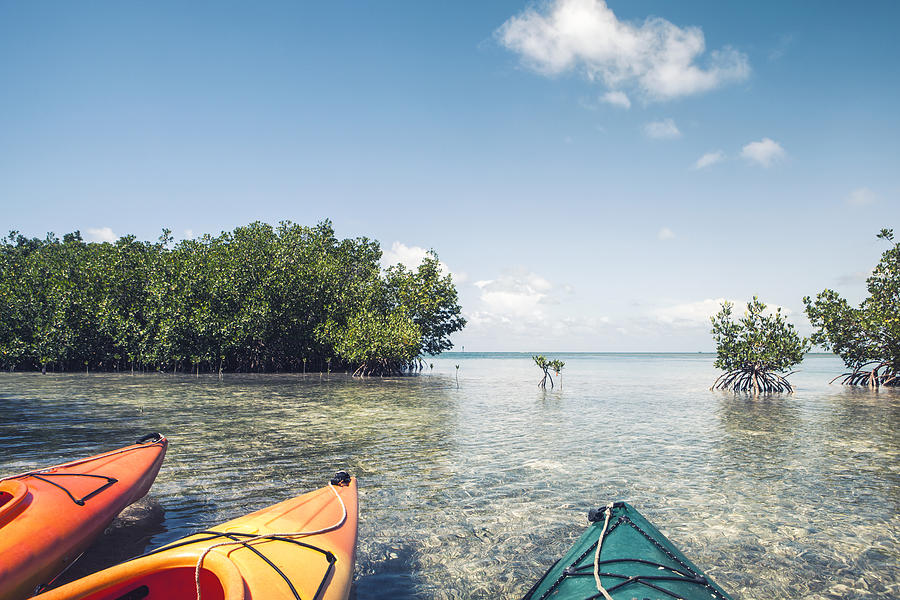 Kayaks parked in shallow mangroves Photograph by Moazzam Ali Brohi