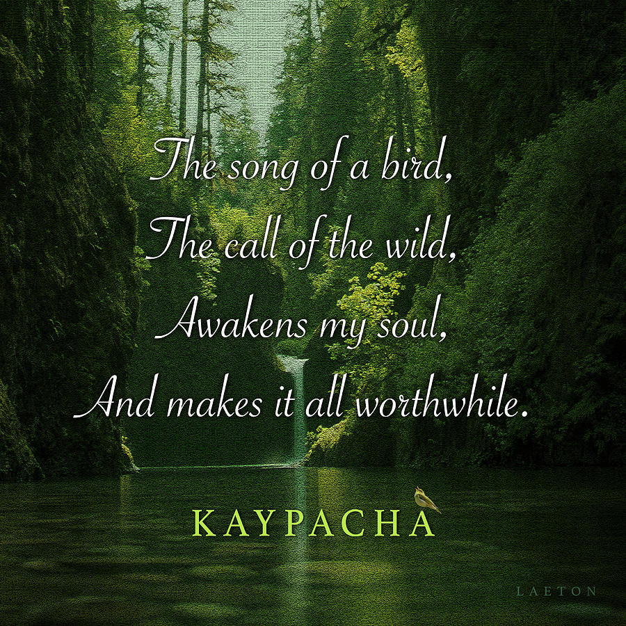 Kaypacha - February 24, 2021 Digital Art by Richard Laeton