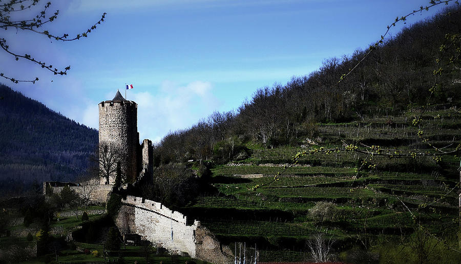 Kaysersberg Castle and Vineyards Photograph by Nadalyn Larsen
