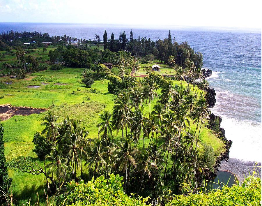 Keanae Peninsula On Maui Photograph By Daniel Baralt