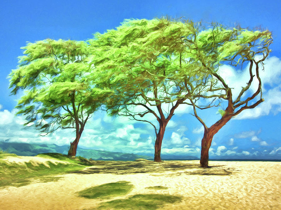 Keawe Trees at Baldwin Beach Maui Painting by Dominic Piperata