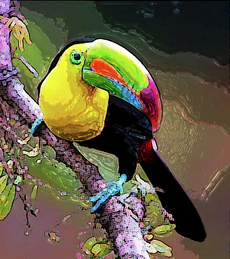 Keel-billed Toucan 1 Digital Art by Aldane Wynter