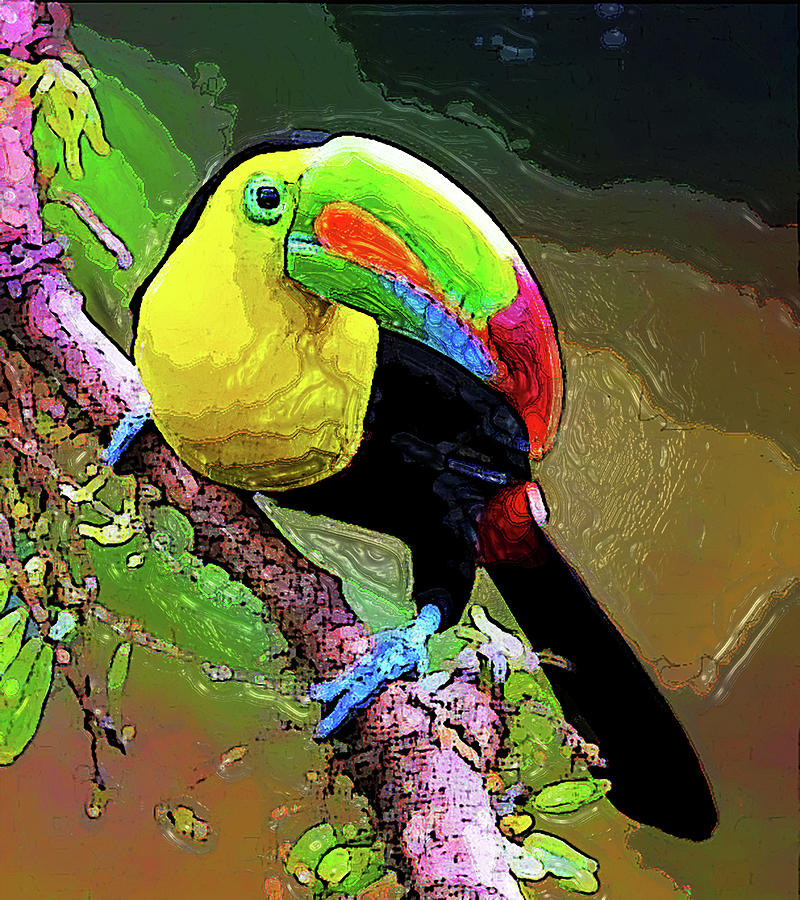 Keel-billed Toucan 2 Digital Art by Aldane Wynter