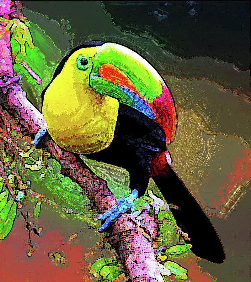 Keel-billed Toucan 3 Digital Art by Aldane Wynter