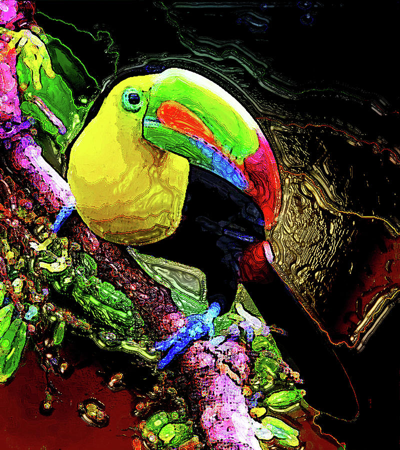  Keel-billed Toucan 4 Digital Art by Aldane Wynter