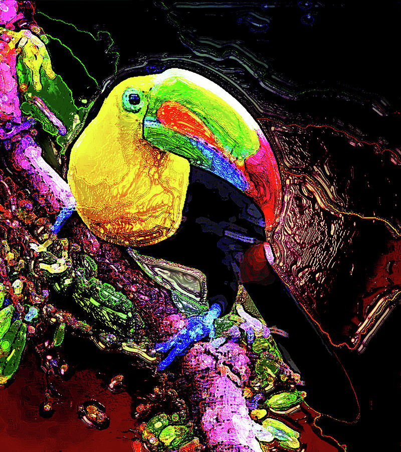 Keel-billed Toucan 5 Digital Art by Aldane Wynter
