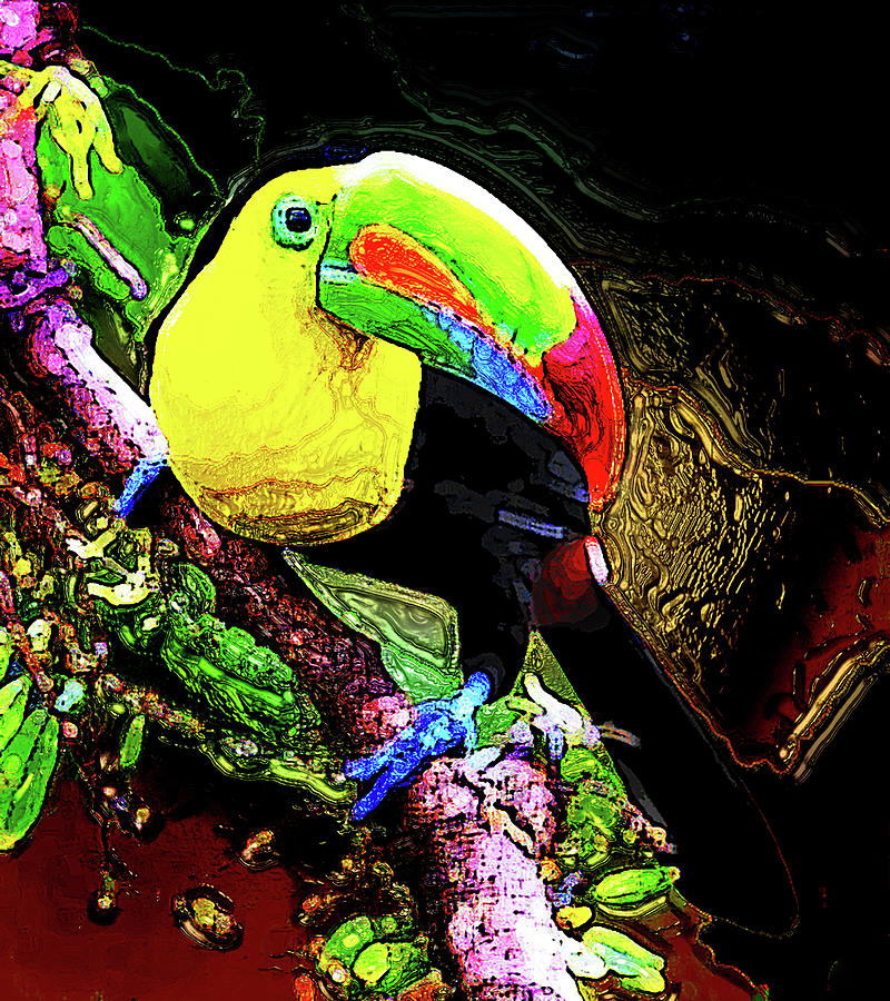 Keel-billed Toucan 6 Digital Art by Aldane Wynter