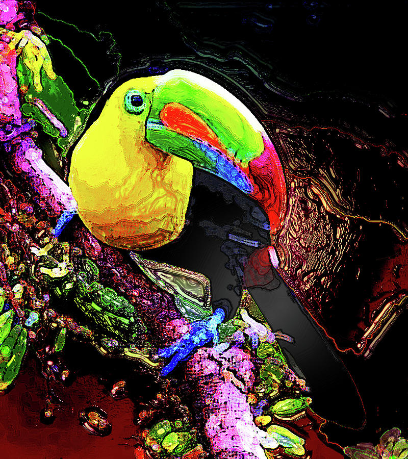 Keel-billed Toucan 7 Digital Art by Aldane Wynter