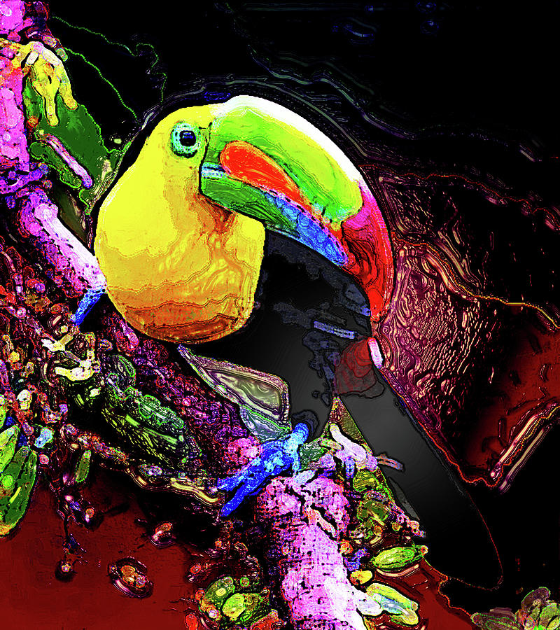 Keel-billed Toucan 8 Digital Art by Aldane Wynter