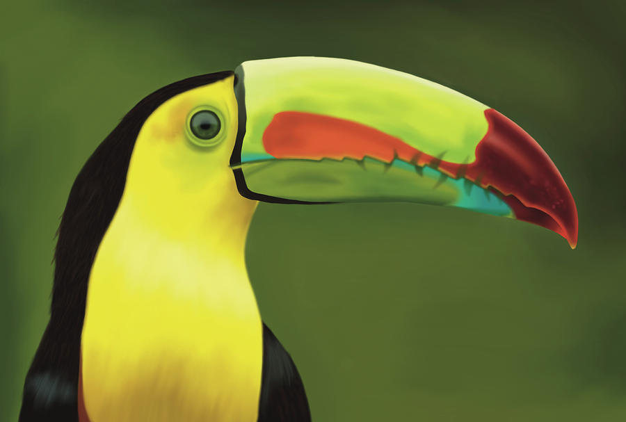 Bird Digital Art - Keel-billed Toucan Painting by Ankhi Sarkar