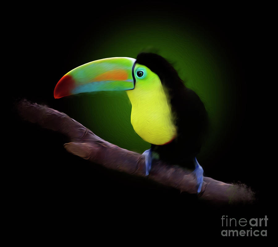 Toucan Painting - Keel-Billed Toucan by Paul Gerace