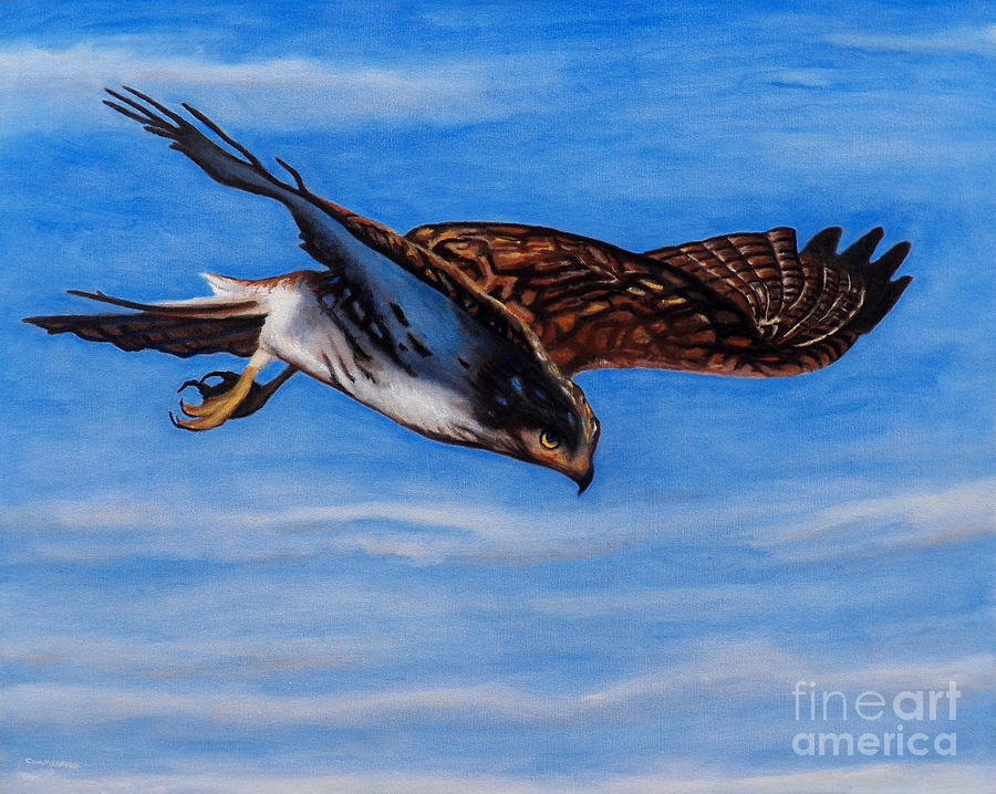 Hawk Painting - Keen Eye Bold Heart by Brian  Commerford
